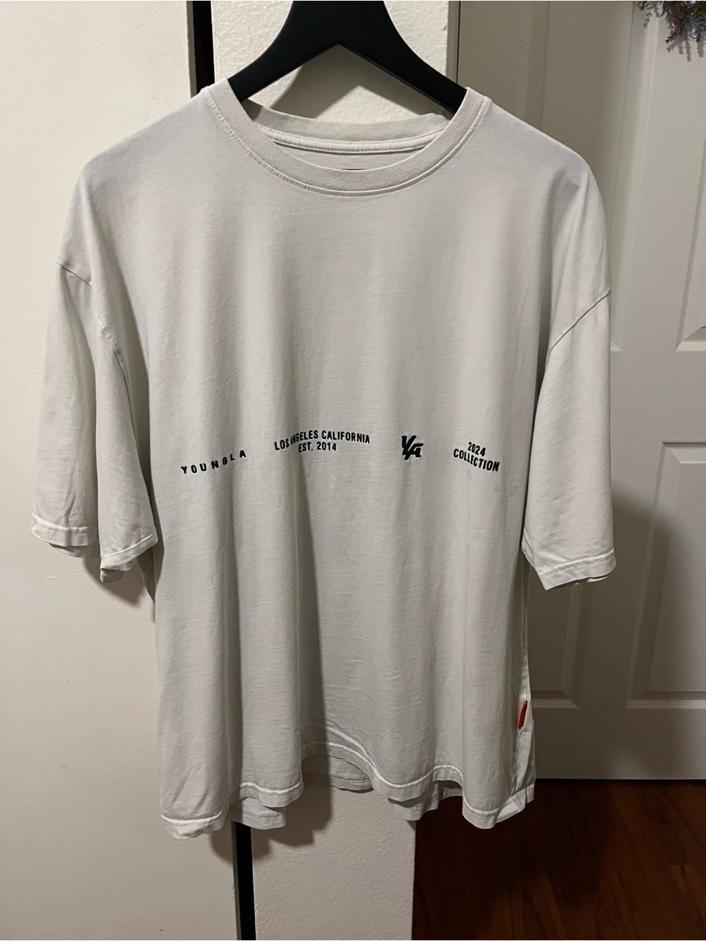 YoungLA logo decomposition gym Tee